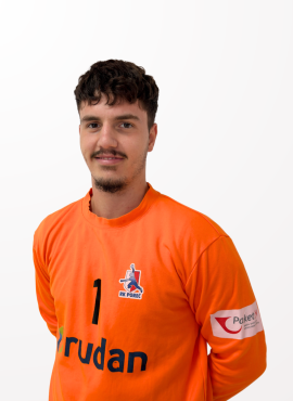 Ves Aleksić